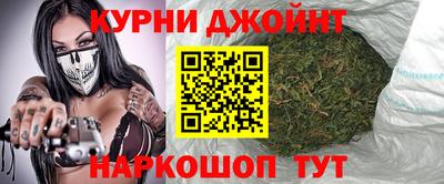 гидра Кингисепп