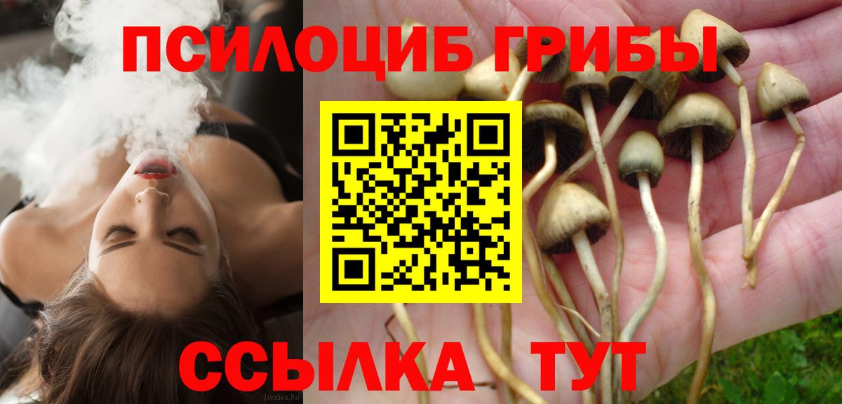 Псилоцибиновые грибы прущие грибы  Вход с VPN  продажа наркотиков  Реутов 