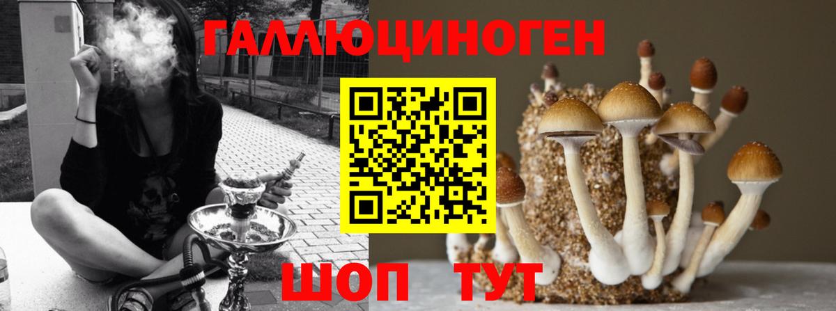 Галлюциногенные грибы мицелий Реутов