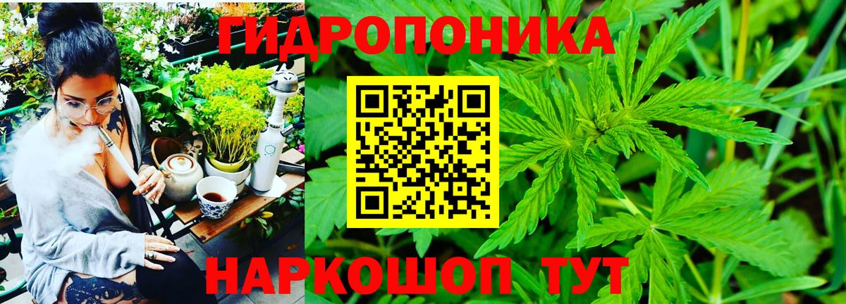 Шишки марихуана AK-47  Марихуана Bruce Banner  Марихуана VHQ  Вход с VPN  Реутов 